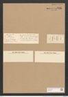 Nitzschia fragilarioides Grun. (de-Toni-Nr.: Genus 47, Species 2082) Zeichnungen Sammlung Grunow Nr. 4121 (NHMW-BOT-W0371991)